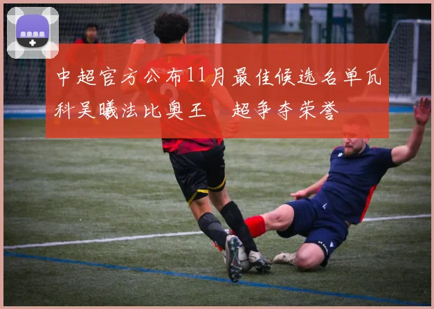 中超官方公布11月最佳候选名单瓦科吴曦法比奥王燊超争夺荣誉
